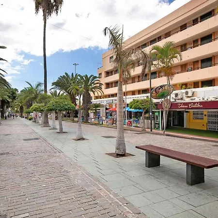 Fayser 108 Beachfront With Pool Arona (Tenerife)